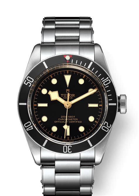 tudor 79230n-0009|tudor black bay with date.